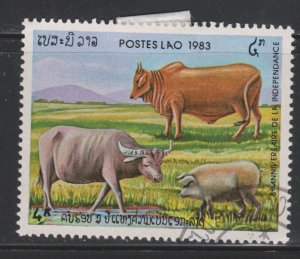 Laos 503 Oxens and Pig 1983