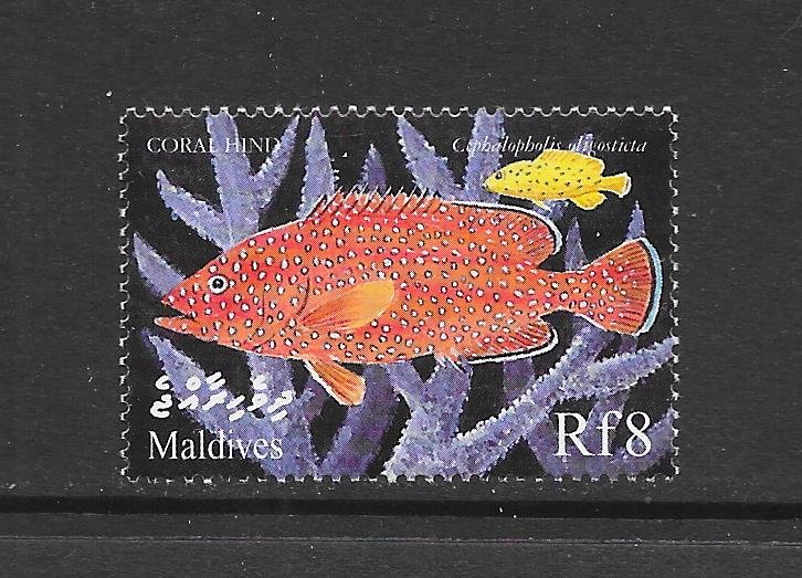 FISH - MALDIVES #2386  CORALHIND   MNH