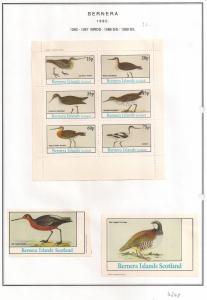 SCOTLAND - BERNERA - 1982 - Birds (32) - 6v Perf, Min, D/L Sheets - MLH