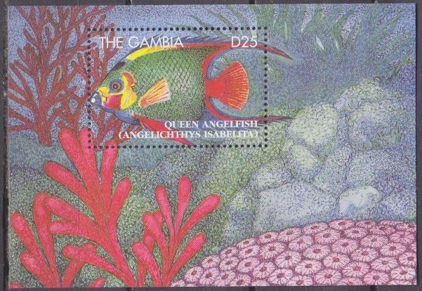 1995 Gambia 2082/B251 Sea fauna 11,00 €​​​​​​​