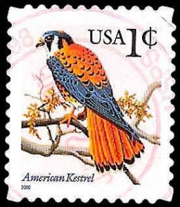 # 3031A USED AMERICAN KESTREL