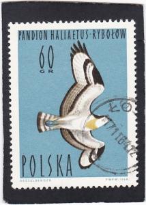 POLAND,  #   1234   used