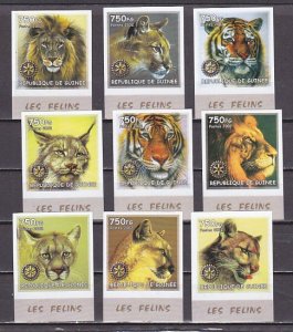 Guinea, 2002 issue. Wild Cats on 9 IMPERF values.