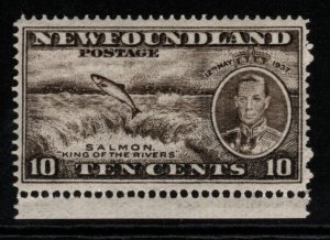 NEWFOUNDLAND SG261b 1937 10c BLACKISH BROWN p13½ MTD MINT