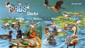 MALDIVES - 2015 - Ducks of the Maldives - Perf 4v Sheet - Mint Never Hinged