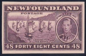 Newfoundland  # 243P