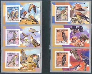 CHAD 2013 BIRDS OF PREY OWLS IMPRF  SET OF SIX  DELUXE SOUVENIR SHEETS  MINT NH