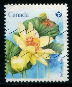 3091 Canada P Lotus Flowers SA, used