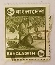 Bangladesh 44