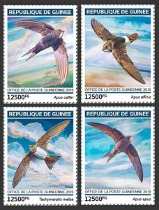 Swifts