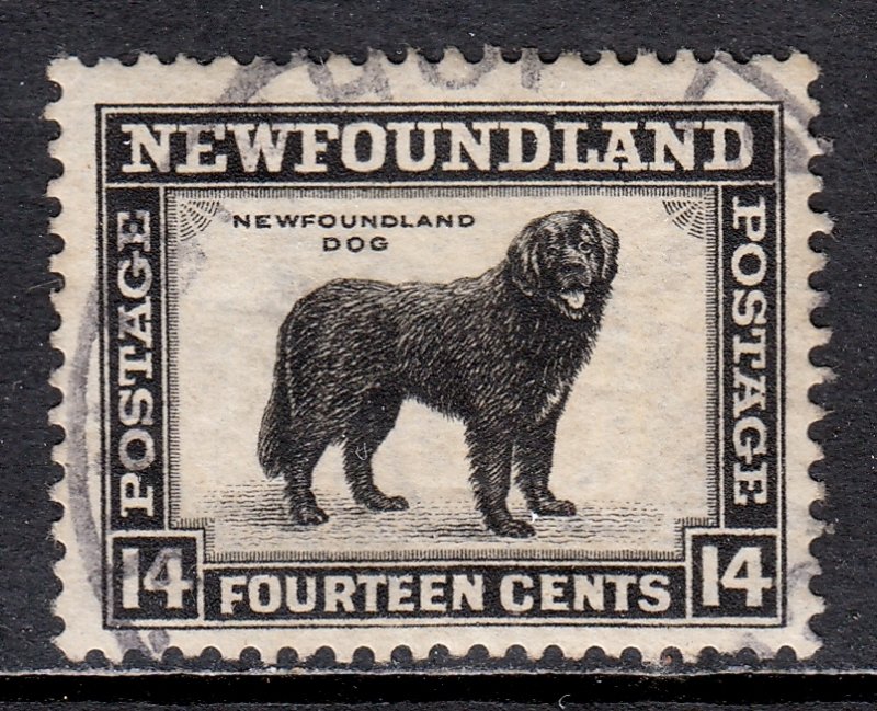 Newfoundland - Scott #194 - Used - Remnant gum - SCV $2.75