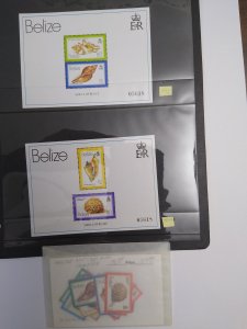 XL item Belize 471-489 MNH NY: CV $157.50