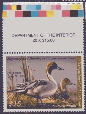 US Stamp #RW75 Pair of Northern Pintail Ducks on a Nest, Press Sht Sng w/ ClrStr