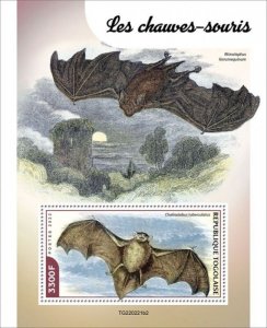 Togo - 2022 New Zealand Long-tailed Bat - Stamp Souvenir Sheet - TG220221b2