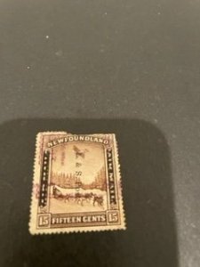 Newfoundland sc 211 u