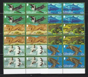 Gibraltar 2013 Endangered Wildlife (6v Cpt, B/4) XF MNH