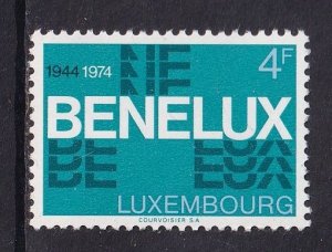 Luxembourg  #553 MNH 1974  Benelux