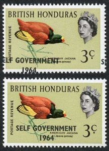 British Honduras SG218 3c with Self Government 1964 Overprint MISPLACED U/M