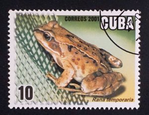 CUBA Sc# 4160 MARINE LIFE ocean fish aquaculture 10c   2001 used cto