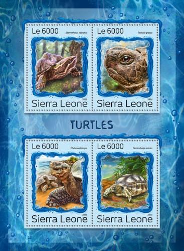 SIERRA LEONE - 2016 - Turtles - Perf 4v Sheet - MNH