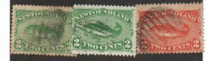 Newfoundland 46-48 Used