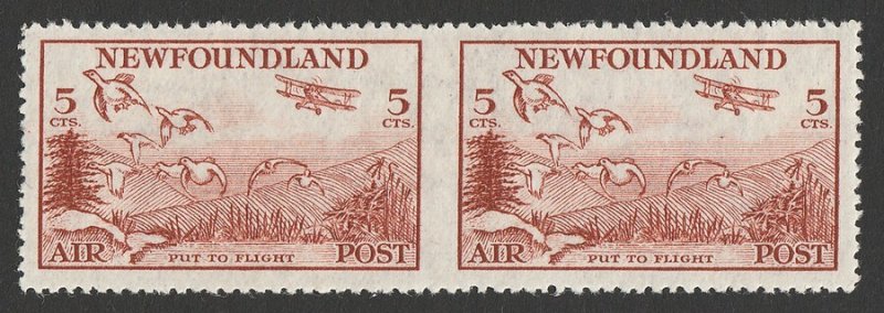 NEWFOUNDLAND 1933 Airmail 5c pair, error IMPERF between. MNH **. Certificate. 