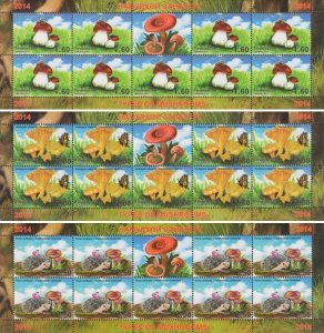 TADZHIKISTAN - 2014 - Mushrooms - Perf 3 x 10v Sheets - MNH