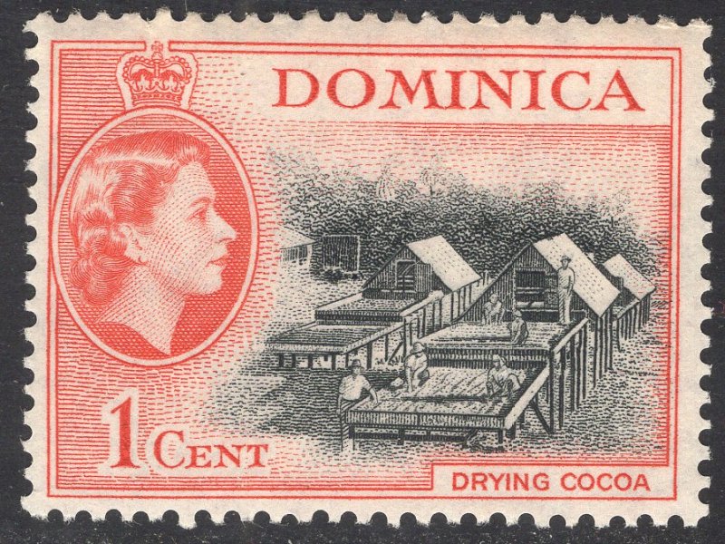 DOMINICA SCOTT 143