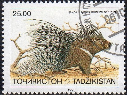 Tajikistan 18 - Cto - 25r Indian Crested Porcupine (1993) (2)