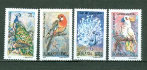 ROMANIA 1999 BIRDS #4294-4297 SET MNH...$2.95