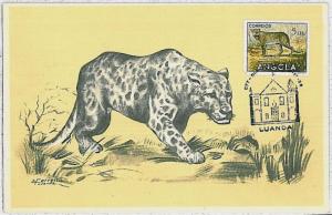 MAXIMUM CARD - POSTAL HISTORY - Angola: Leopards, Wild animals, 1958