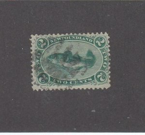 NEWFOUNDLAND # 24 VF-LIGHT USED 2cts COD FISH CAT VALUE $50 (NF4455)