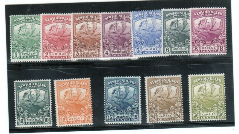 Newfoundland #115 - #126 Mint Never Hinged Fine Set