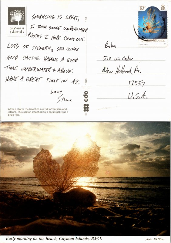 Cayman Islands, Picture Postcards, Marine Life