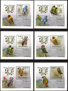 {143} Mozambique 2010 Birds Parrots 6 S/S Deluxe MNH**