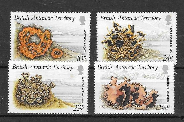 BRITISH ANTARCTIC TERR. SG167/70 1989 LICHENS MNH