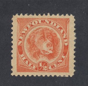 Newfoundland  Dog Stamp; #57-1/2c MH F/VF.  Guide Value = $90.00