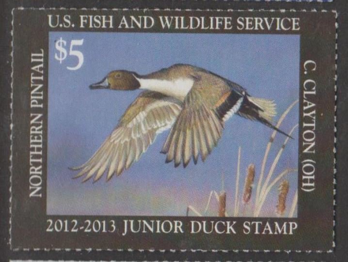 U.S. Scott #JDS20 Junior Duck Stamp - Mint NH Single
