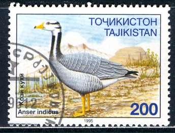 Tajikistan; 1996; Sc. # 89; O/Used CTO Single Stamp