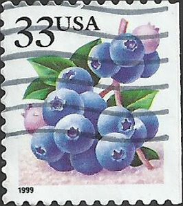 # 3294 USED BLUEBERRIES