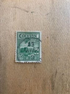 Ceylon #308