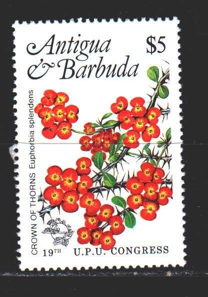 Antigua and Barbuda. 1984. 765 from the series. Milio Euphorbia, flowers. MNH.