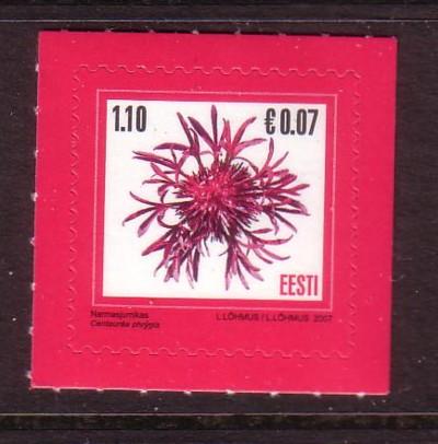 Estonia Sc572 2007 flower stamp Euro Added NH