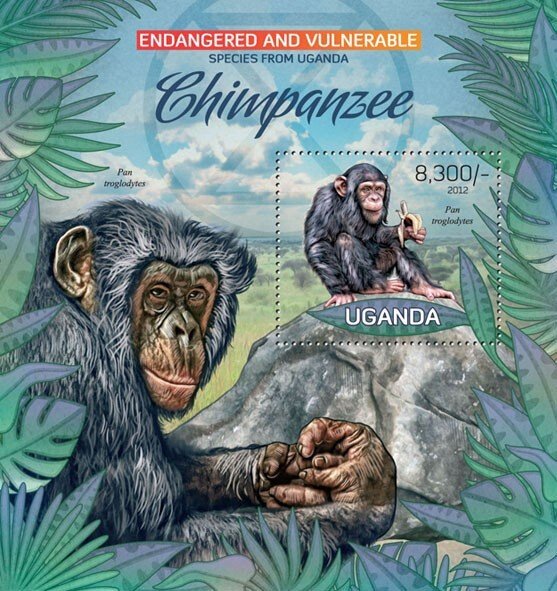 UGANDA - 2012 - Chimpanzees - Perf Souv Sheet - Mint Never Hinged