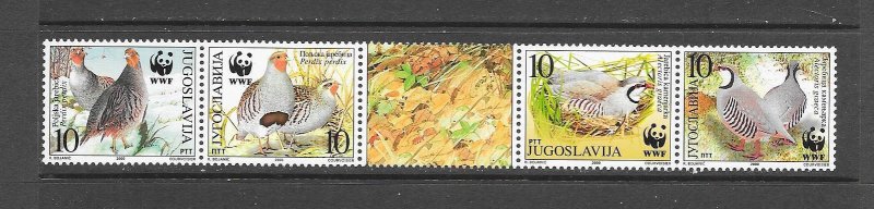 BIRDS - YUGOSLAVIA #2479  MNH