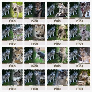 Stamps. Fauna Wolves 16 stamps perforated 2023 year  NEW