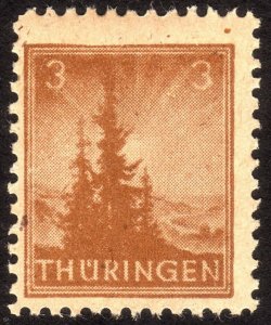 1946, Germany, Soviet Occupation of Thuringia 3pfg, MNH, Sc 16N1