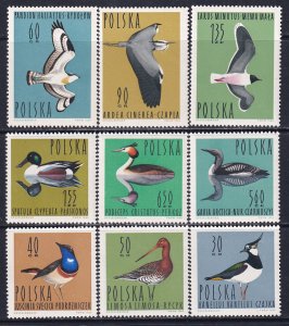 Poland  1964 Sc 1231-9 Loon Osprey Heron Gull Lapwing Godwit Bird Stamp MNH