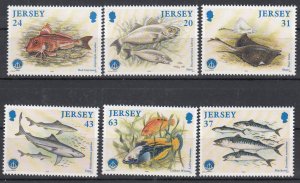 Jersey 1998  Marine Life -  NHM