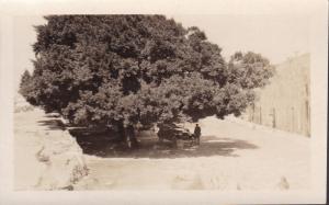 Morro Castle Lot of Four (4) Real Photo View Cards  F/VF